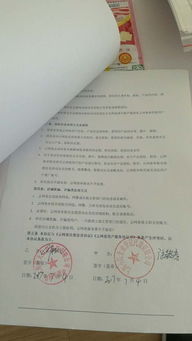 诚信认证 上海小陆企业登记代理的专业服务与可靠保障